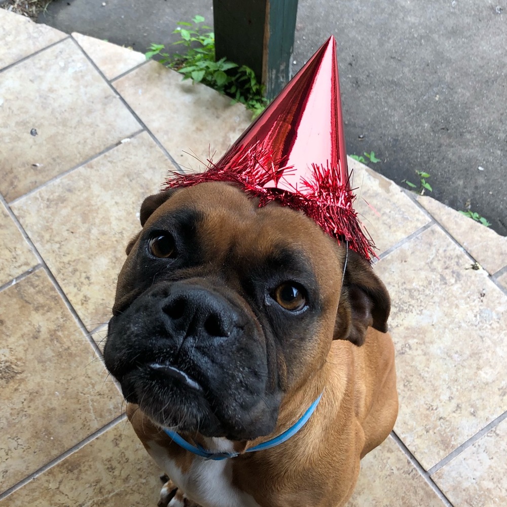 Meet your Posher, Pedro